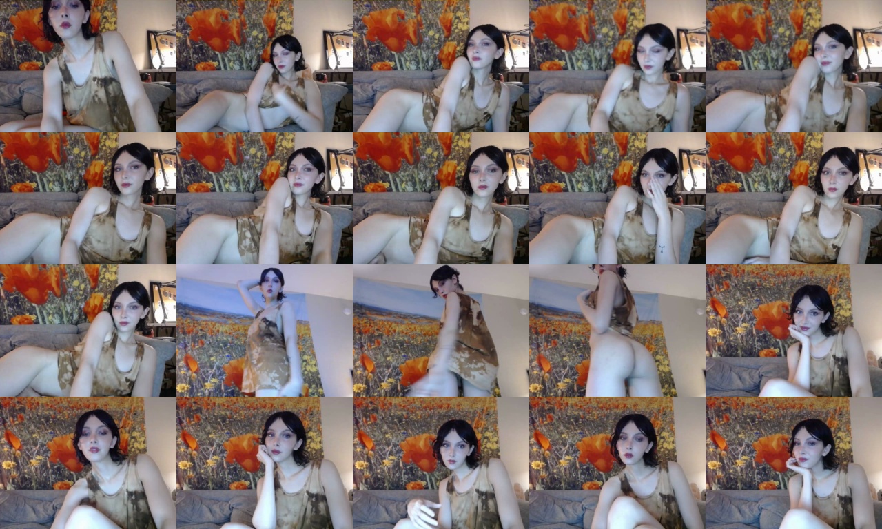 Cassiereef  06-12-2020