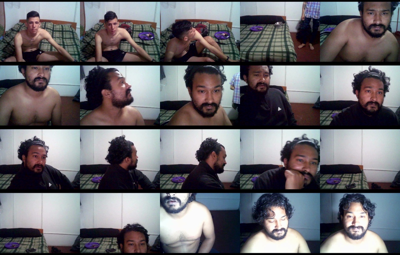 sex_pigs  08-12-2020