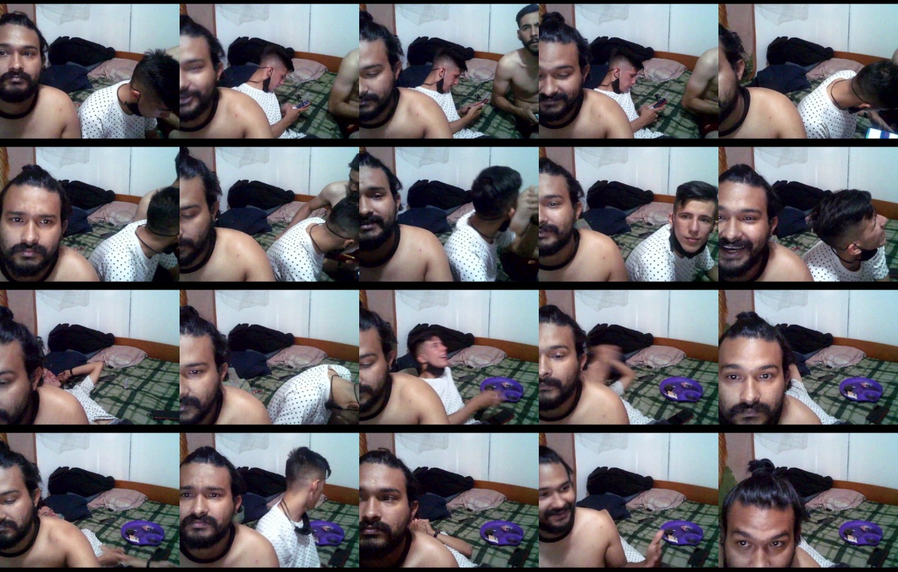 sex_pigs  11-12-2020