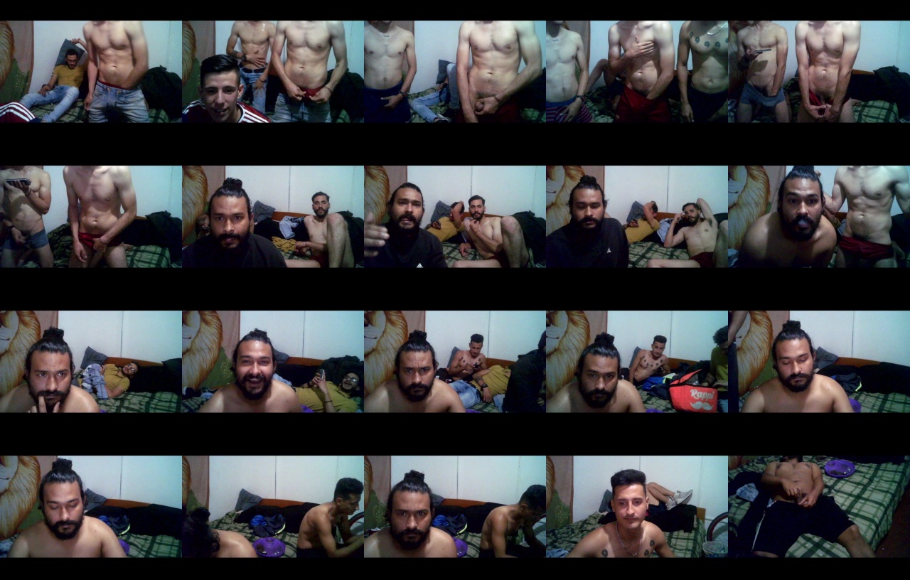 sex_pigs  16-12-2020