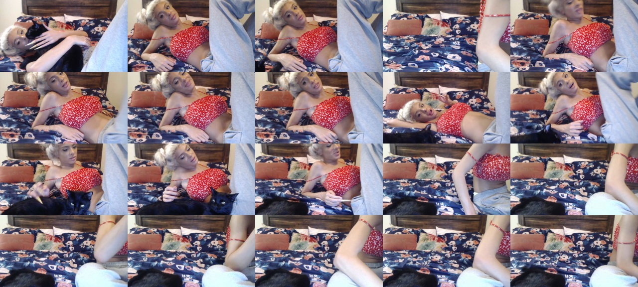 Bigdicktrannynicole  26-01-2021