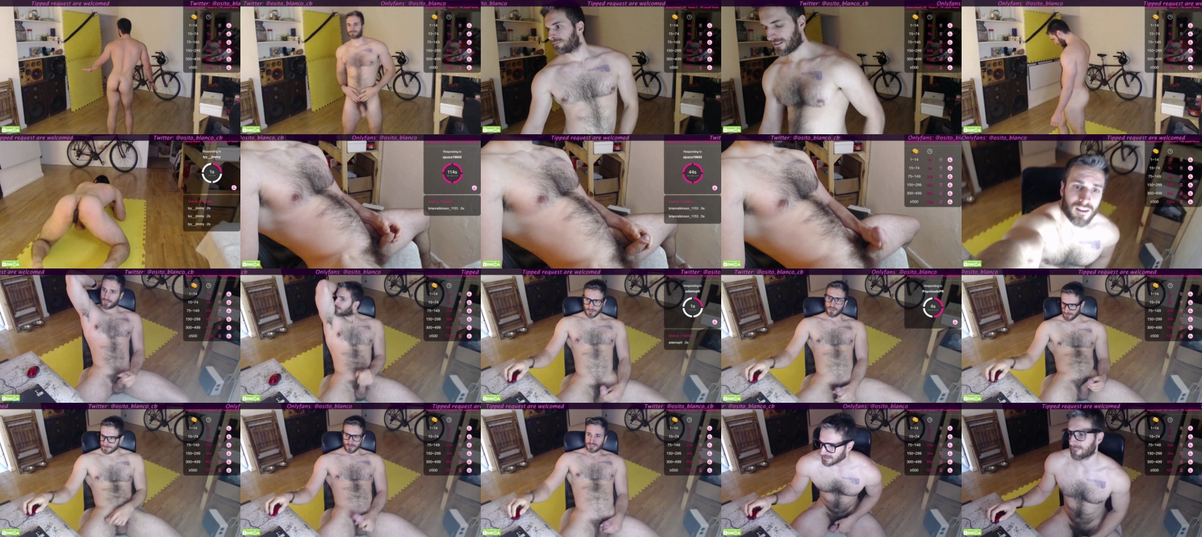 osito_blanco  16-06-2023