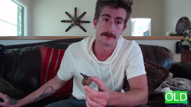 ryanrailer  16-06-2023