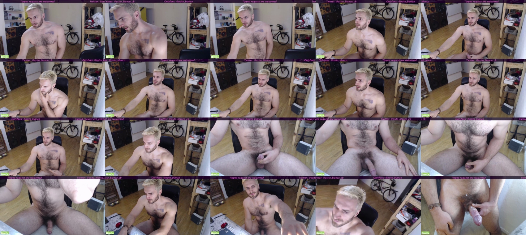 osito_blanco  06-07-2023