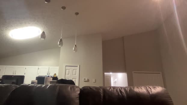 alphazack14  08-07-2023