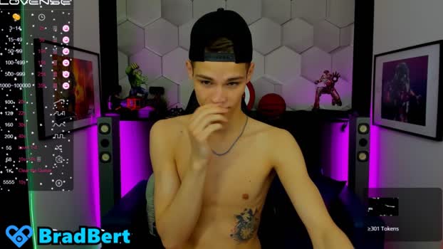 brad_bert  20-07-2023