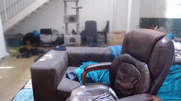wookgonewild  27-07-2023