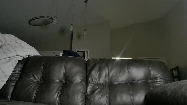 alphazack14  31-07-2023