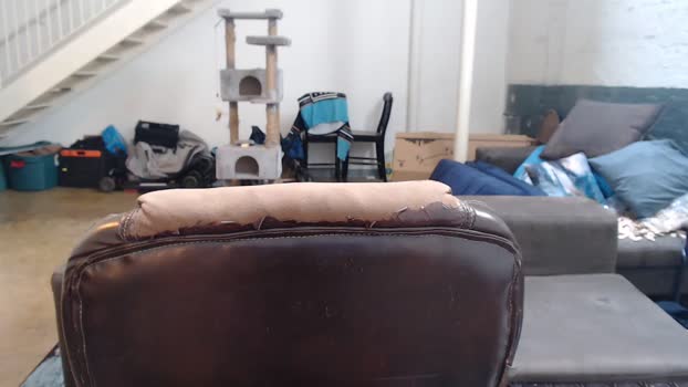 wookgonewild  09-08-2023
