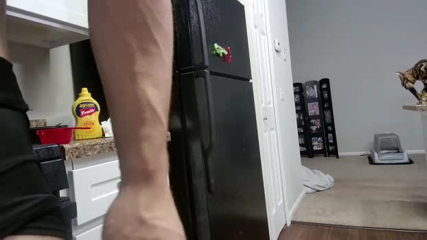alphazack14  15-08-2023