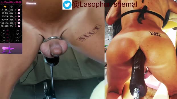 lasophia  16-08-2023