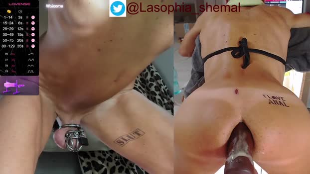 lasophia  26-08-2023