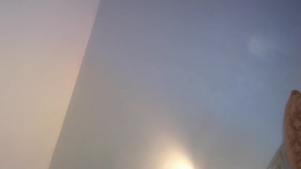 sex_dealerxx  30-08-2023