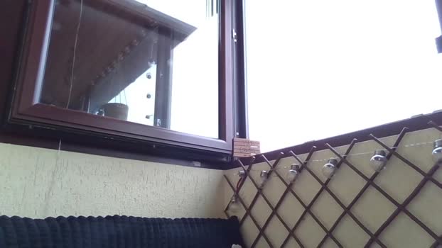 roberto_twink1  16-09-2023