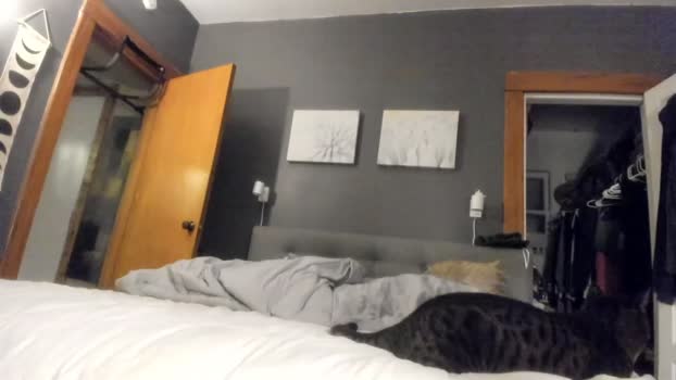 jbunny43  07-10-2023