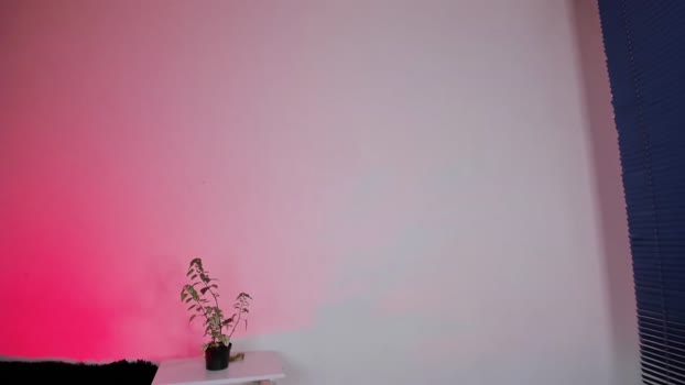 zoegothh  06-10-2023