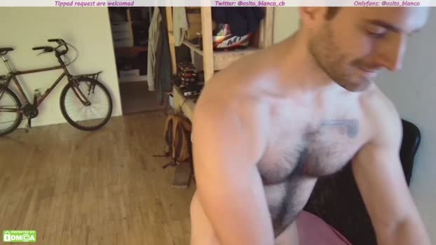 osito_blanco  12-10-2023