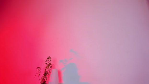 zoegothh  14-10-2023