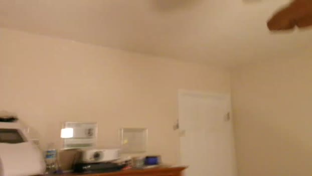 bestcockhere  19-10-2023