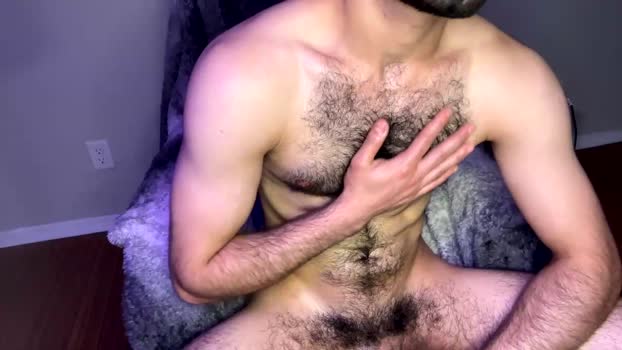 zayn_hawk  21-10-2023