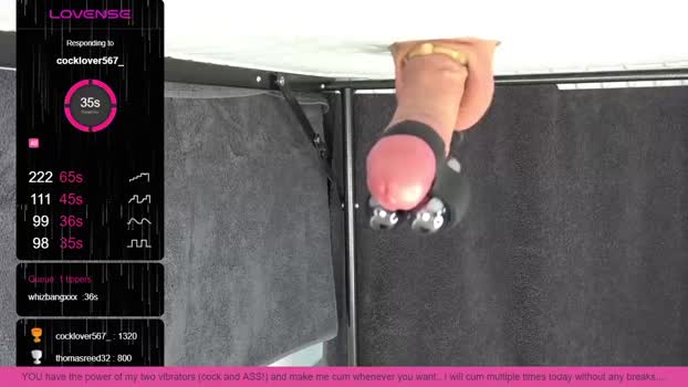 cockmastergermany 24-10-2023