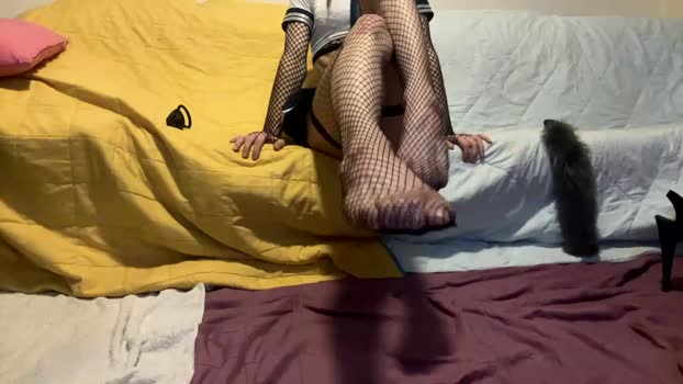femboyhorse 30-10-2023