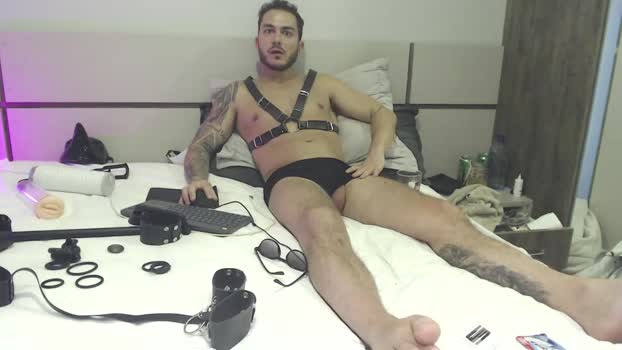 alfamalebrazil 04-11-2023