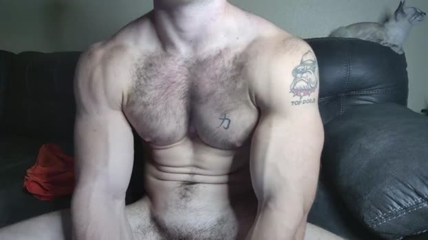 alphazack14  08-11-2023