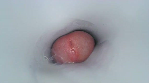 jeffrodgerschaturbat  11-11-2023