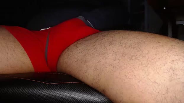 gato27cam 14-11-2023