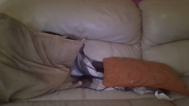bigdicktrannynicole  22-11-2023