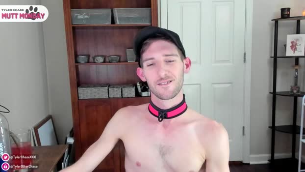 tylerchasexxx 19-12-2023