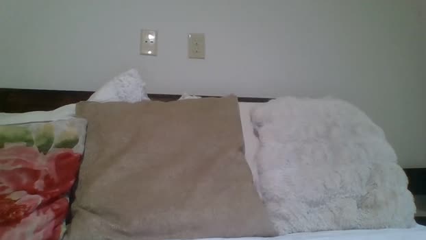 bigdicktrannynicole 20-12-2023