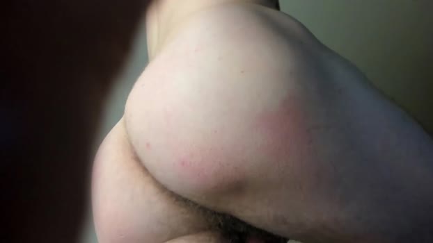 milahator 11-01-2024