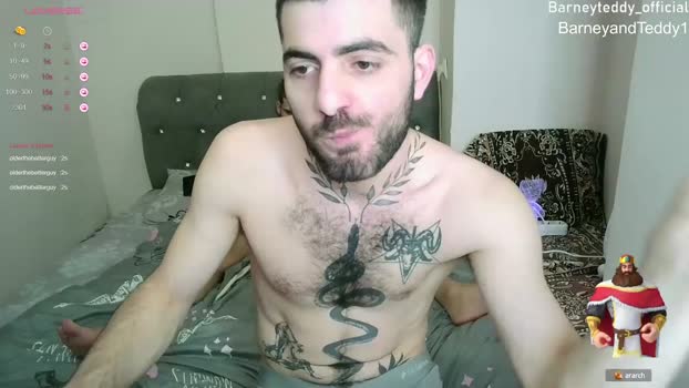 barney_teddy 12-01-2024