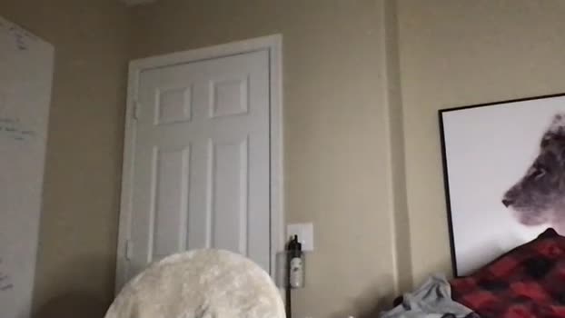 johnafterdark 13-01-2024