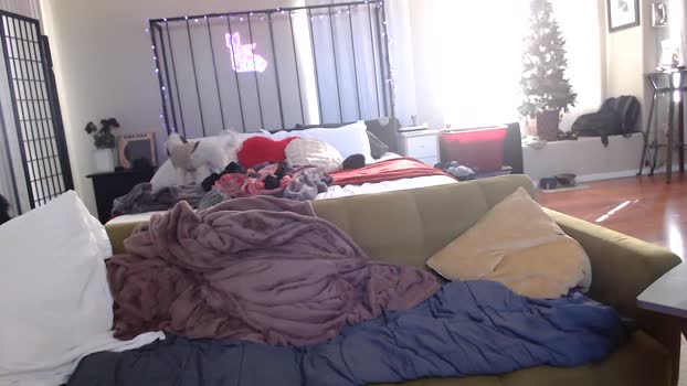 chrisbonewhite 13-01-2024
