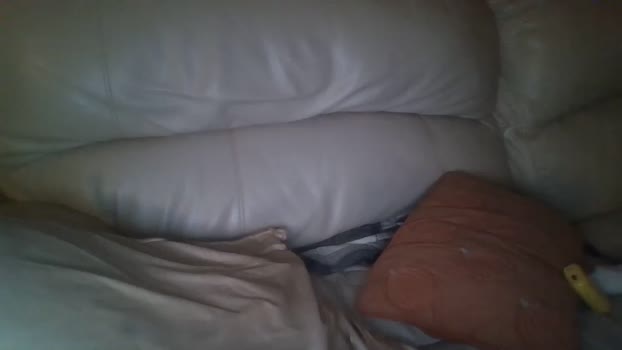 bigdicktrannynicole 16-01-2024