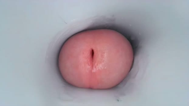 jeffrodgerschaturbat 27-01-2024