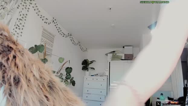 sierra_diamond 13-02-2024