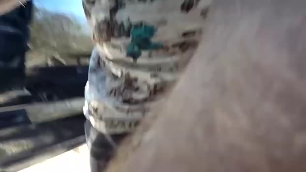 cammin86 15-02-2024