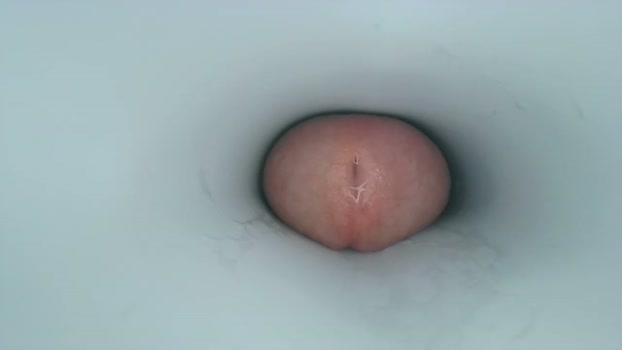 jeffrodgerschaturbat 27-02-2024