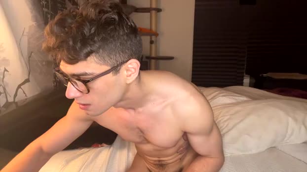 iblamedevan Chaturbate 11-03-2024 Males