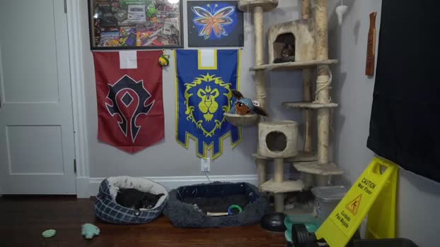 sydaffect Chaturbate 11-03-2024 Males