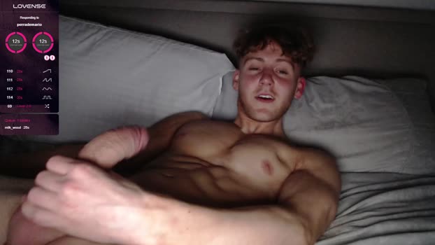 dominantalex182 Chaturbate 11-03-2024 Males