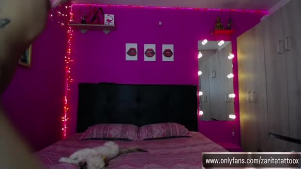 zara_tattoox Chaturbate 12-03-2024 Trans