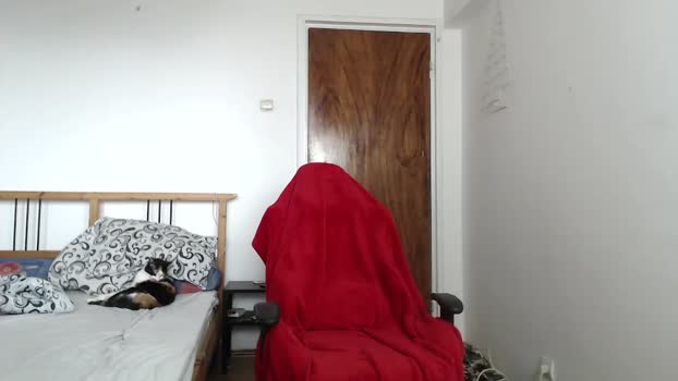 muslejoker Chaturbate 15-03-2024 Males