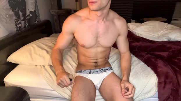 iblamedevan Chaturbate 20-03-2024 Males