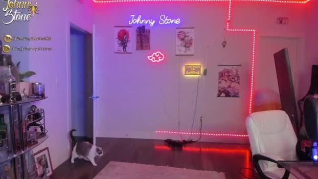 thejohnnystone Chaturbate 26-03-2024 Males