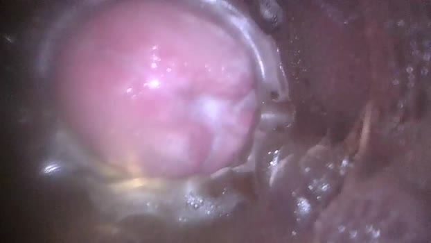 xoxowtf Chaturbate 25-03-2024 Males